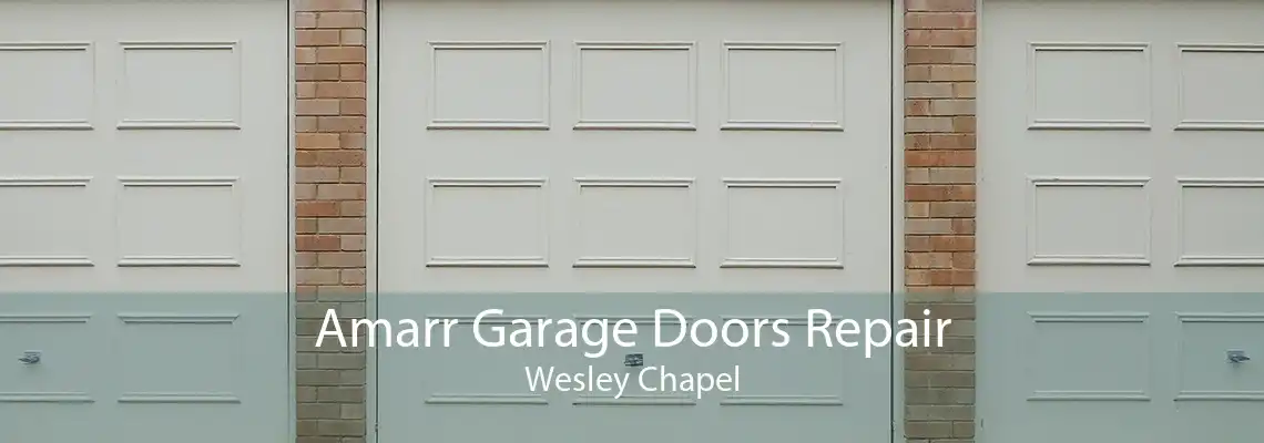 Amarr Garage Doors Repair Wesley Chapel
