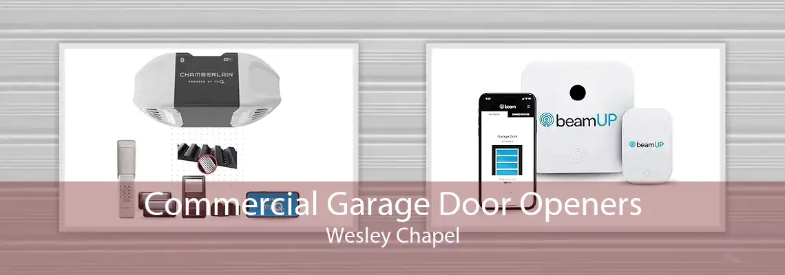 Commercial Garage Door Openers Wesley Chapel