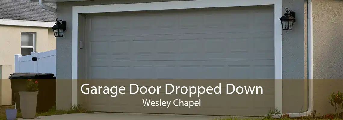 Garage Door Dropped Down Wesley Chapel