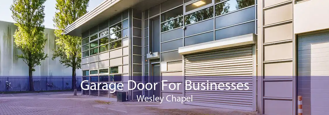 Garage Door For Businesses Wesley Chapel