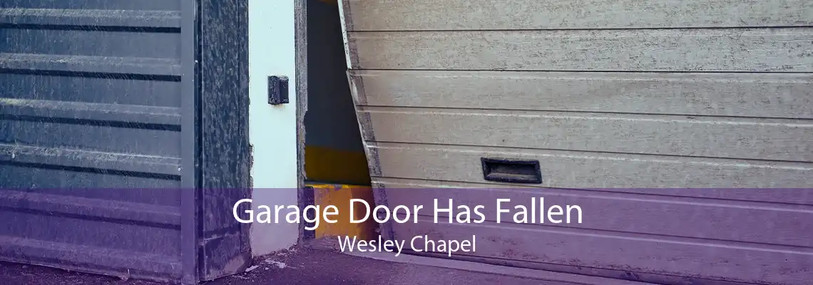 Garage Door Has Fallen Wesley Chapel