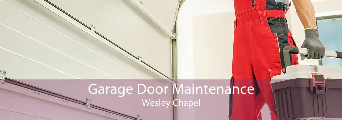 Garage Door Maintenance Wesley Chapel