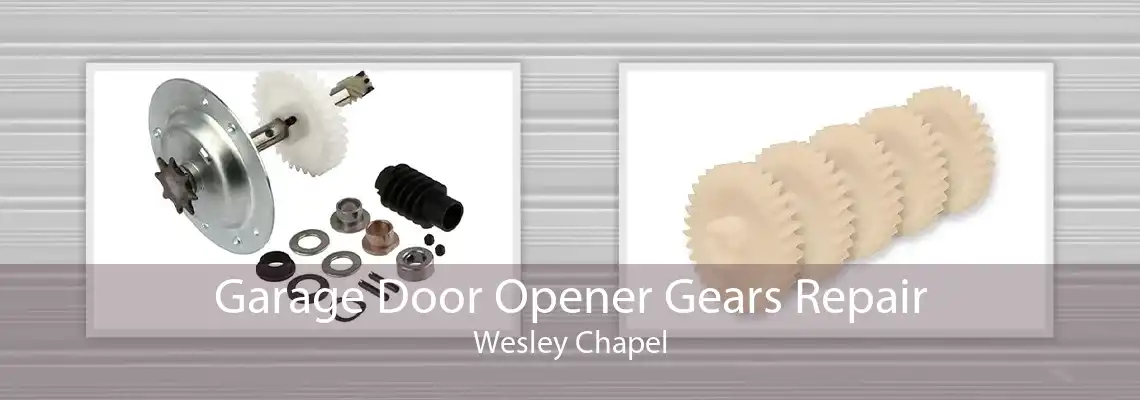 Garage Door Opener Gears Repair Wesley Chapel