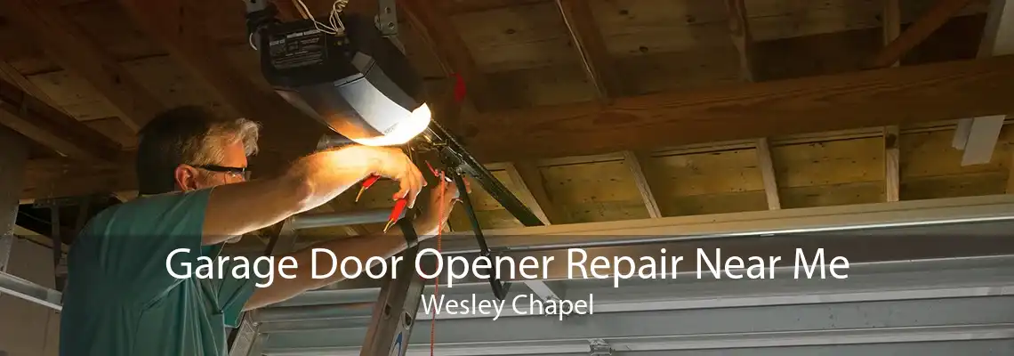 Garage Door Opener Repair Near Me Wesley Chapel
