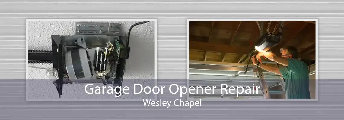 Garage Door Opener Repair Wesley Chapel