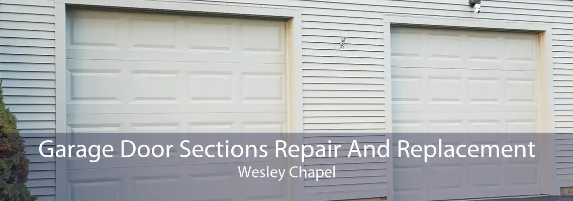 Garage Door Sections Repair And Replacement Wesley Chapel