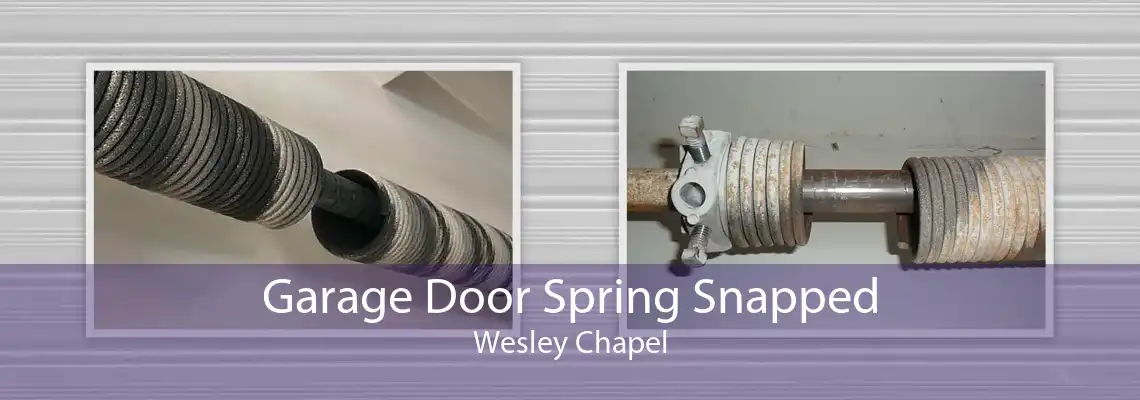 Garage Door Spring Snapped Wesley Chapel