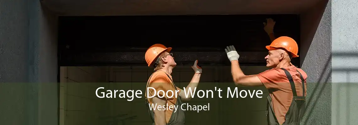 Garage Door Won't Move Wesley Chapel