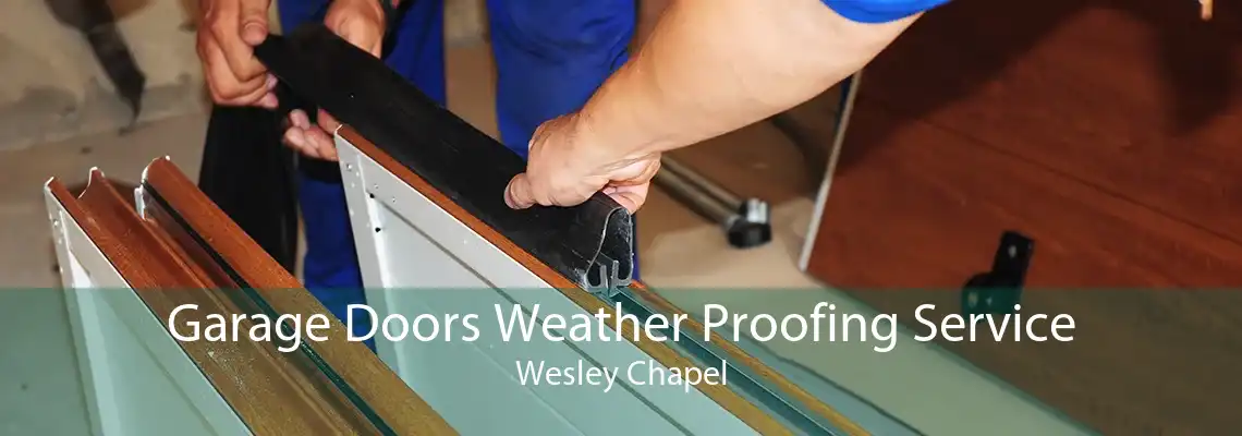 Garage Doors Weather Proofing Service Wesley Chapel