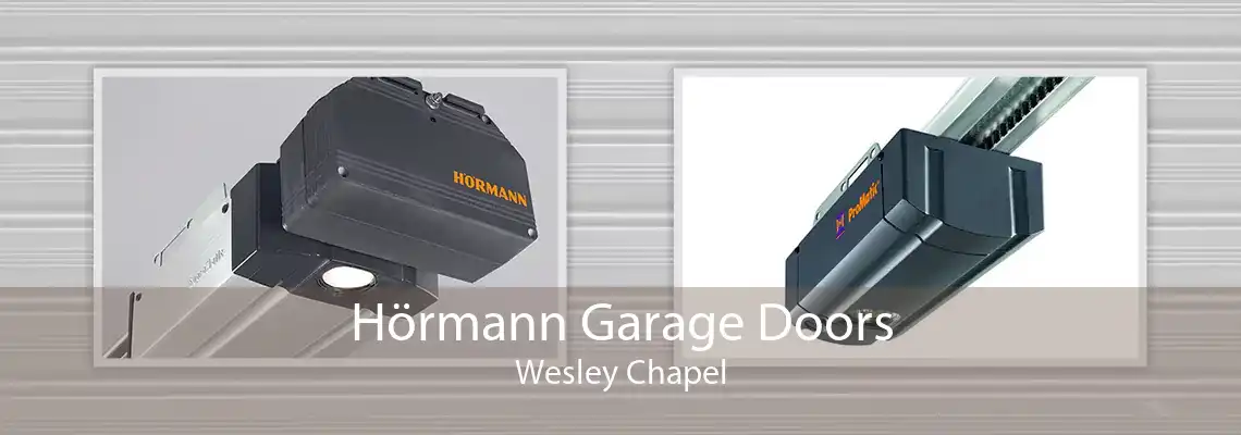 Hörmann Garage Doors Wesley Chapel