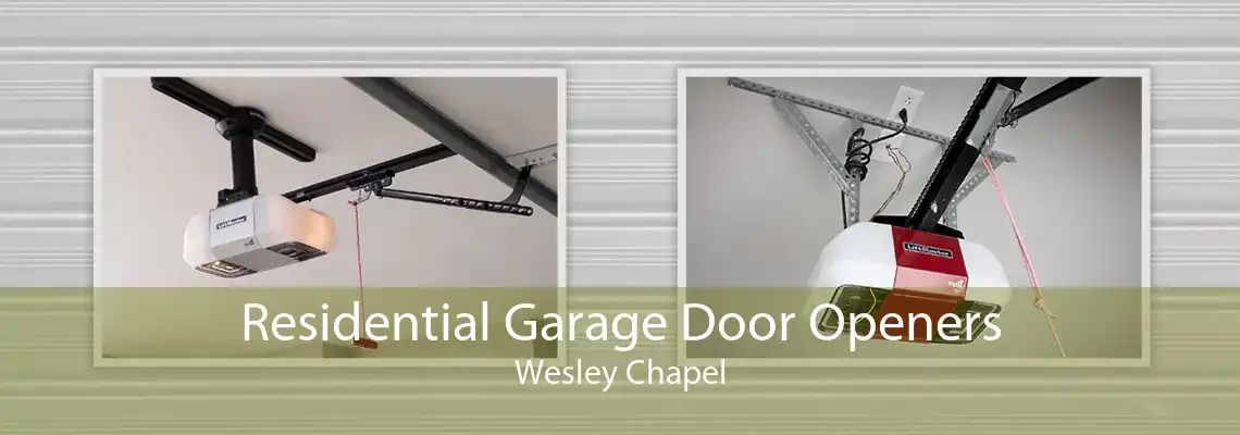 Residential Garage Door Openers Wesley Chapel