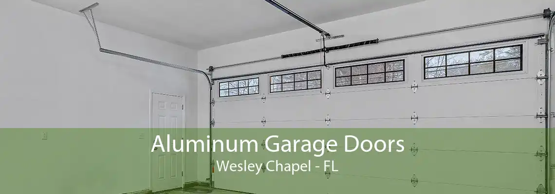 Aluminum Garage Doors Wesley Chapel - FL