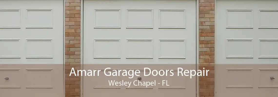 Amarr Garage Doors Repair Wesley Chapel - FL