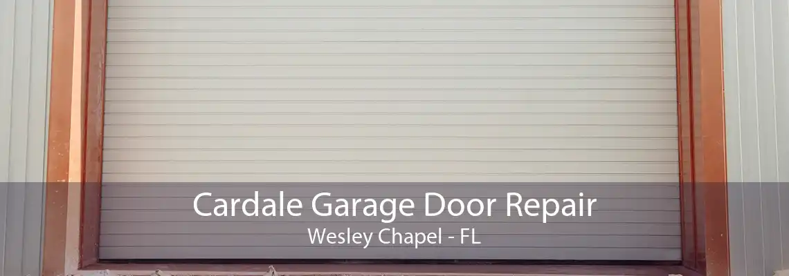 Cardale Garage Door Repair Wesley Chapel - FL