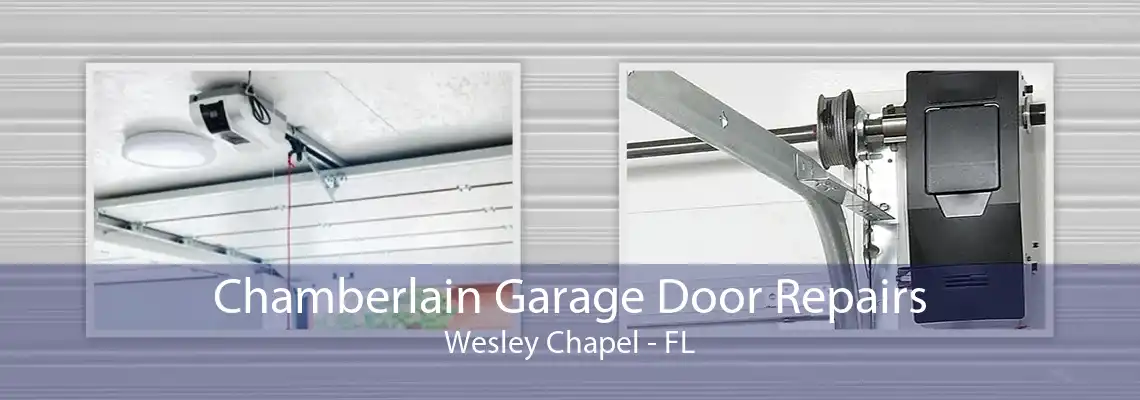 Chamberlain Garage Door Repairs Wesley Chapel - FL