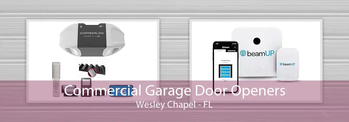 Commercial Garage Door Openers Wesley Chapel - FL