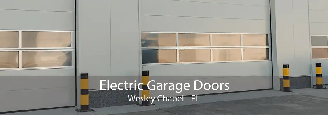 Electric Garage Doors Wesley Chapel - FL