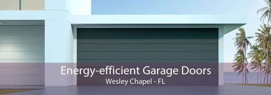 Energy-efficient Garage Doors Wesley Chapel - FL