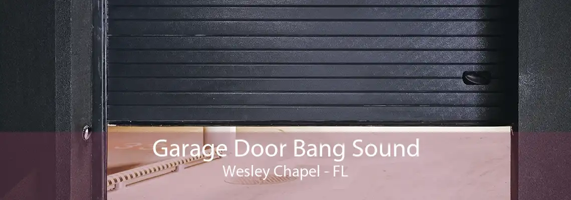 Garage Door Bang Sound Wesley Chapel - FL