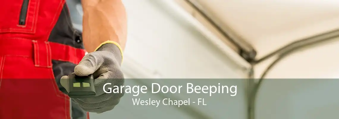 Garage Door Beeping Wesley Chapel - FL