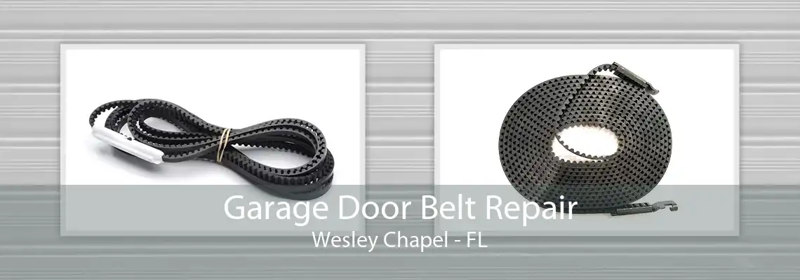 Garage Door Belt Repair Wesley Chapel - FL