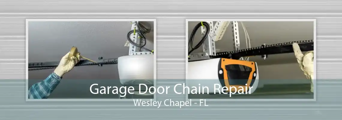 Garage Door Chain Repair Wesley Chapel - FL