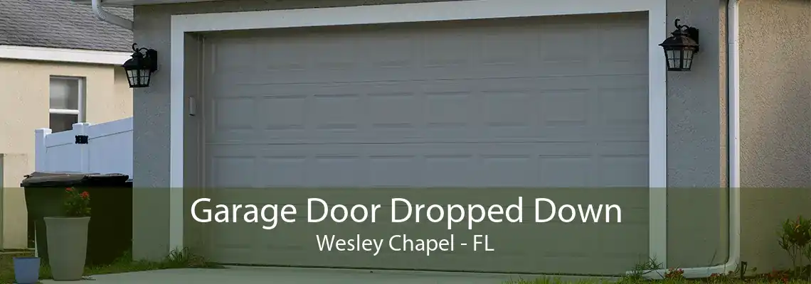 Garage Door Dropped Down Wesley Chapel - FL