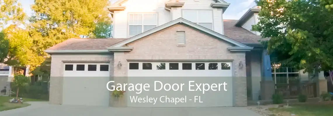 Garage Door Expert Wesley Chapel - FL