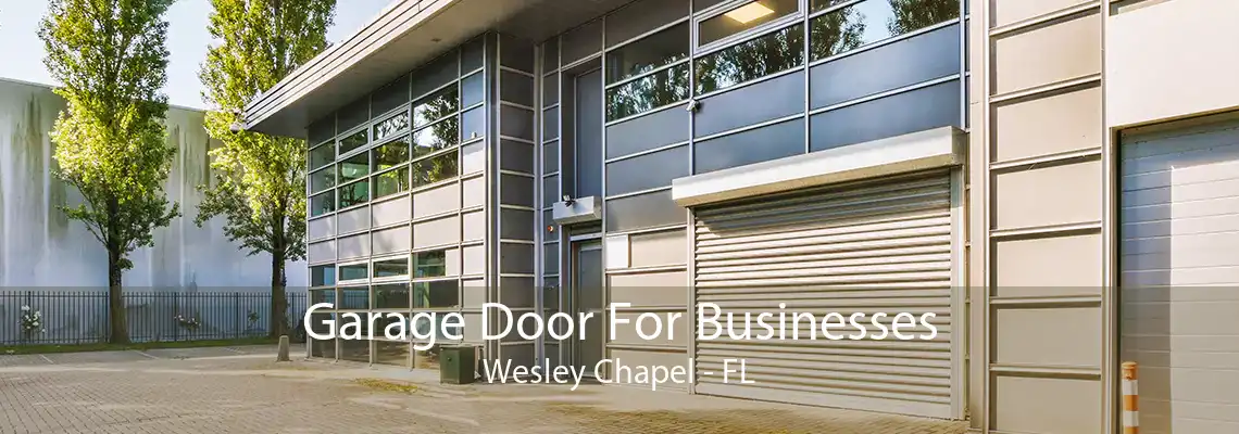 Garage Door For Businesses Wesley Chapel - FL