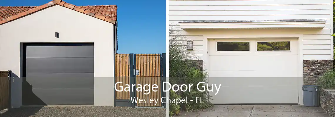 Garage Door Guy Wesley Chapel - FL