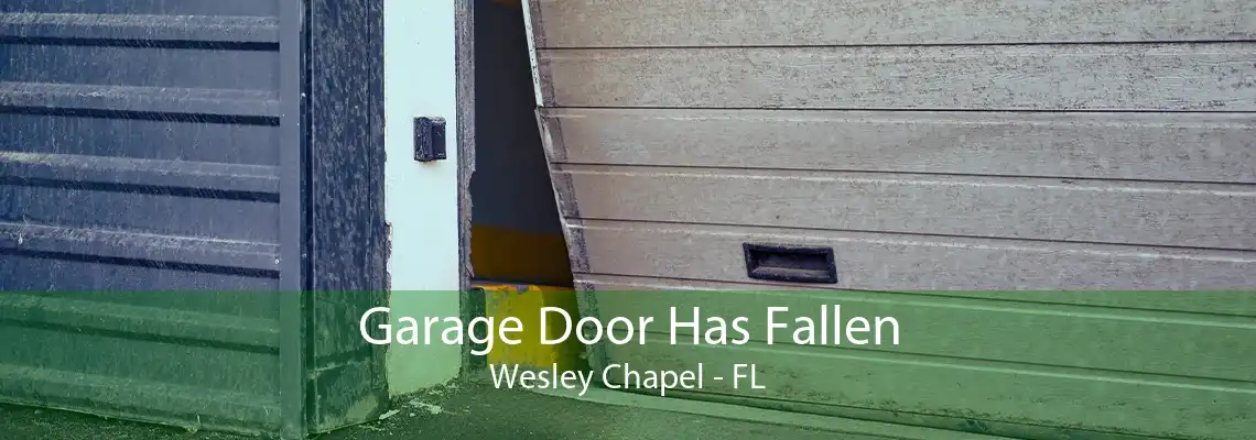 Garage Door Has Fallen Wesley Chapel - FL