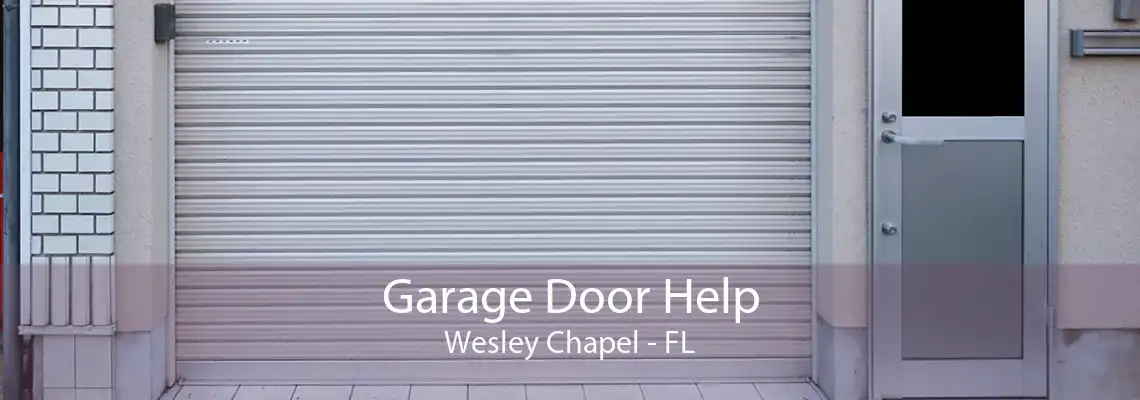 Garage Door Help Wesley Chapel - FL