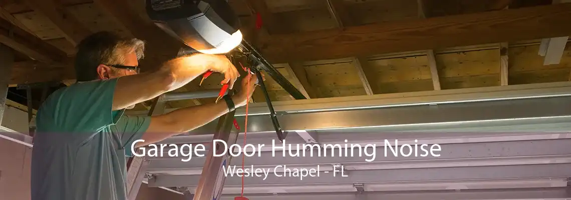 Garage Door Humming Noise Wesley Chapel - FL