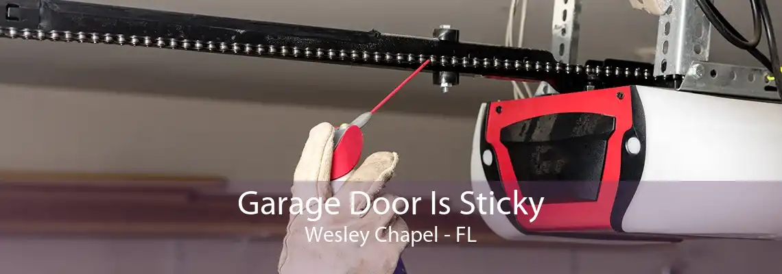 Garage Door Is Sticky Wesley Chapel - FL