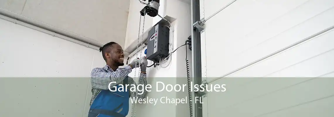 Garage Door Issues Wesley Chapel - FL