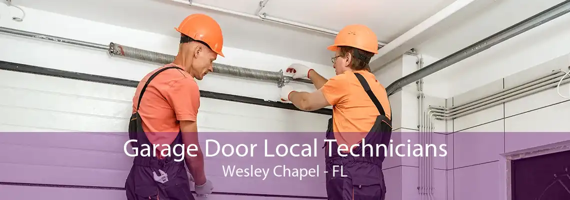 Garage Door Local Technicians Wesley Chapel - FL