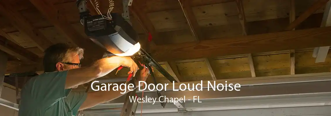 Garage Door Loud Noise Wesley Chapel - FL