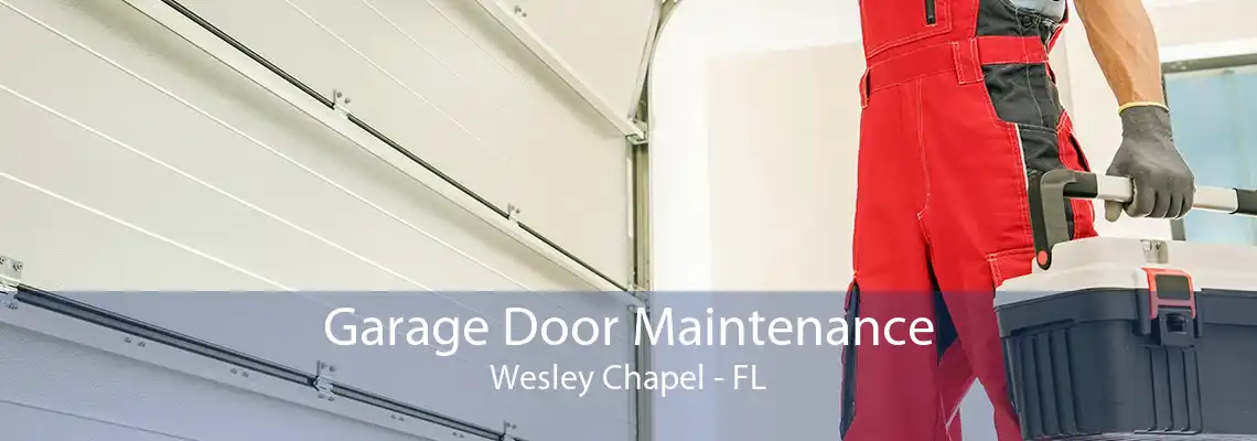 Garage Door Maintenance Wesley Chapel - FL