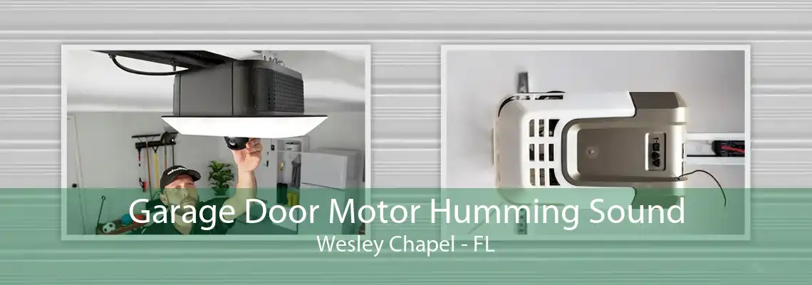 Garage Door Motor Humming Sound Wesley Chapel - FL