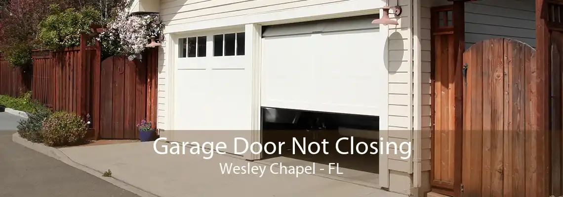 Garage Door Not Closing Wesley Chapel - FL