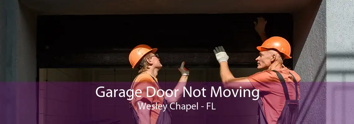 Garage Door Not Moving Wesley Chapel - FL