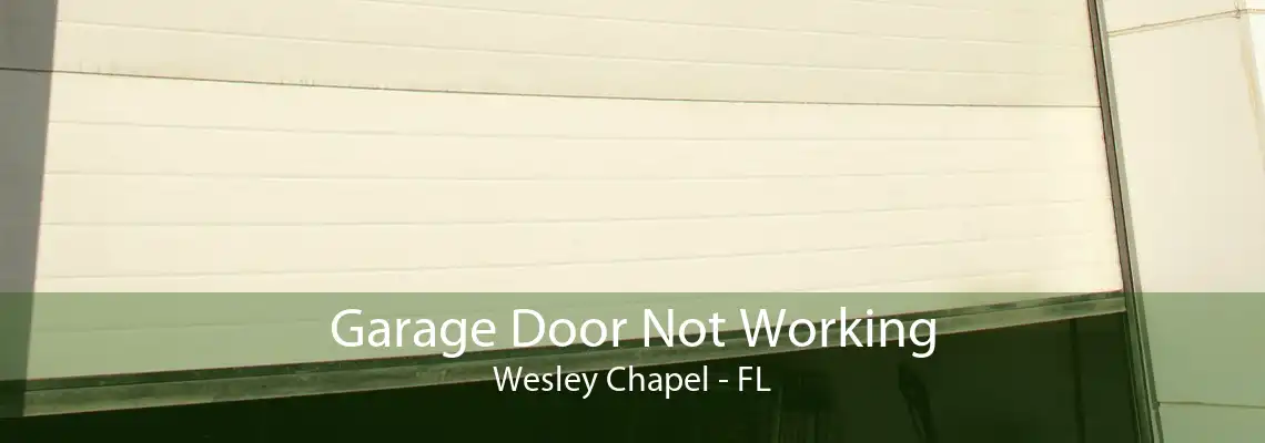 Garage Door Not Working Wesley Chapel - FL