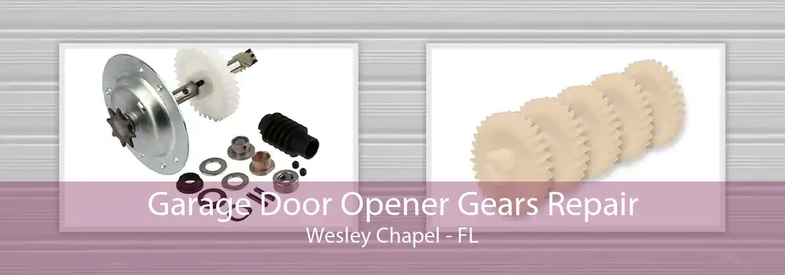 Garage Door Opener Gears Repair Wesley Chapel - FL