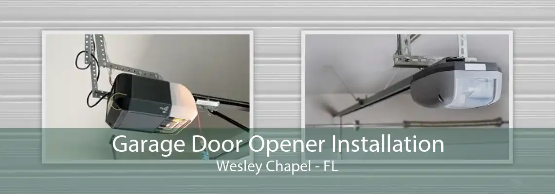 Garage Door Opener Installation Wesley Chapel - FL