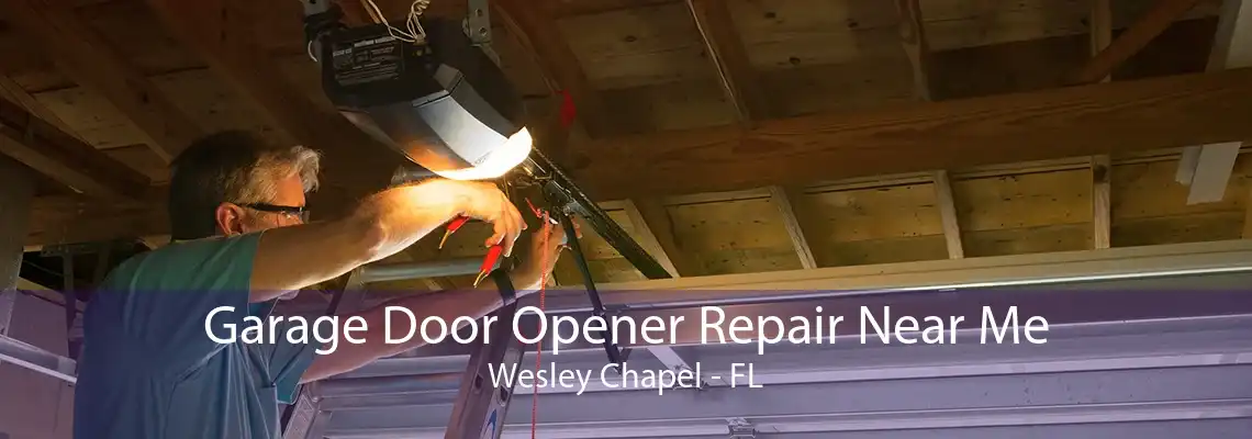 Garage Door Opener Repair Near Me Wesley Chapel - FL