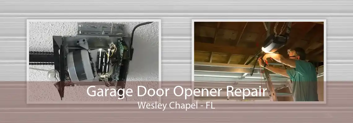 Garage Door Opener Repair Wesley Chapel - FL