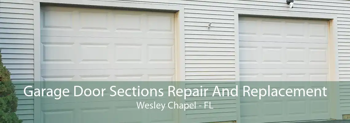 Garage Door Sections Repair And Replacement Wesley Chapel - FL