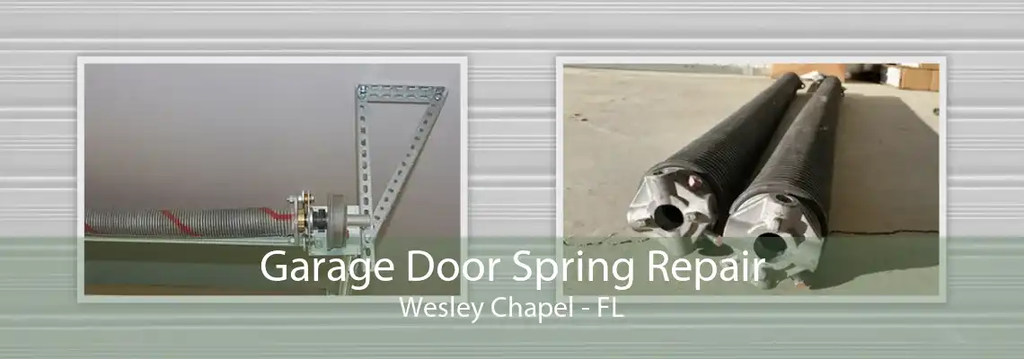 Garage Door Spring Repair Wesley Chapel - FL