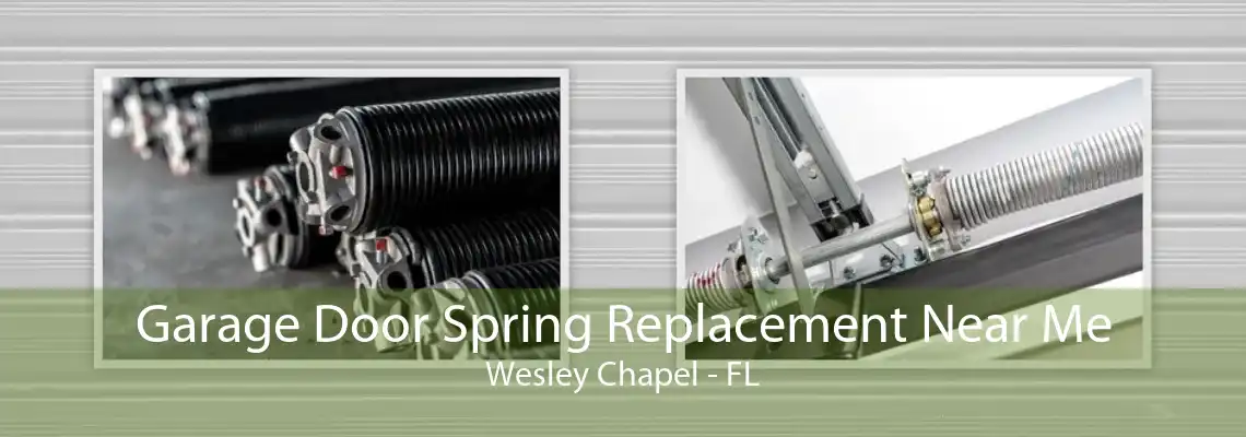 Garage Door Spring Replacement Near Me Wesley Chapel - FL