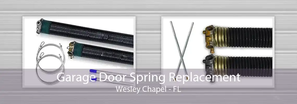 Garage Door Spring Replacement Wesley Chapel - FL